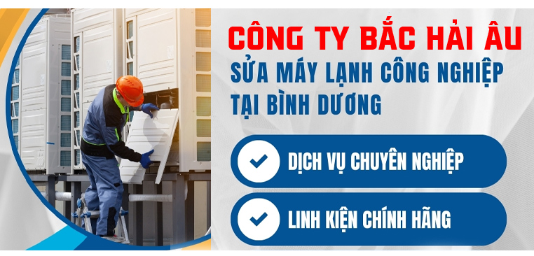 Sửa Chữa – Bảo Trì Máy Sấy Khí
