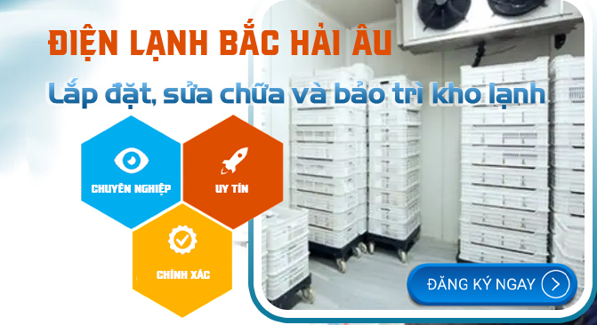 Lắp đặt sửa chữa và bảo trì kho lạnh